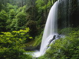 Middle North Falls, Silver Falls State Park, Oregon, USA Photographic Print by Adam Jones