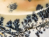 Close-Up of Amethyst Sage Agate, Nevada, USA Lámina fotográfica por Dennis Kirkland