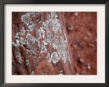 Rocky Pinnacle Prints by Nicole Katano