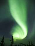 Aurora Borealis, Fairbanks, Alaska, USA Fotografisk tryk af Julie Eggers Aurora Borealis, Fairbanks, Alaska, USA Fotografisk tryk af Julie Eggers