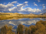 Swan Lake Reflects Clouds and Gallatin Mountain Range, Yellowstone National Park, Wyoming, USA Photographie par Chuck Haney