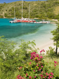 Snorkelers in Idyllic Pirates Bight Cove, Bight, British Virgin Islands Photographie par Trish Drury