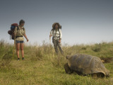 Galapagos Giant Tortoise With Tui De Roy Near Alcedo Volcano, Isabela Island, Galapagos Islands Photographic Print by Pete Oxford