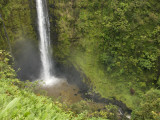 Akaka Falls, Hamakua Coast, Hawaii, USA Photographic Print by Savanah Stewart