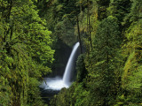Metlako Falls Along Eagle Creek in the Mount Hood National Forest, Oregon, USA Photographic Print by Chuck Haney