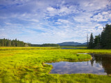 Bass Harbor Marsh in Acadia National Park, Maine, USA Photographic Print by Chuck Haney