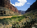Looking Downriver From Nankoweap Canyon, Grand Canyon National Park, Arizona, USA Photographic Print by Bernard Friel