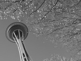 Space Needle, Seattle, Washington, USA Photographic Print by Savanah Stewart