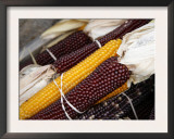 Autumn Harvest Posters by Nicole Katano