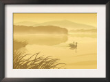 Swan Couple Prints Swan Couple Prints