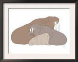Brown Walrus Prints by  Avalisa