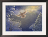 White Dove in Winter Landscape Posters