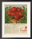 Campbell's, Magazine Advertisement, USA, 1950 Prints