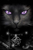 Spiral (Magical Cat) Posters