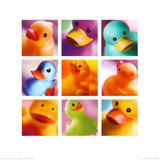 Duck Family Portraits Posters