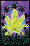 Bud Sublime Posters