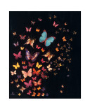 Midnight Butterflies Poster by Lily Greenwood