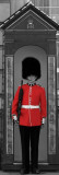 Buckingham Palace Guard (London) Pósters Buckingham Palace Guard (London) Pósters