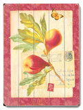 Natural Wonders-Fig Wood Sign