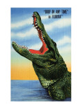 Drop in Any Time in Florida Premium Giclee Print