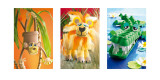 Monkey, Lion, Crocodile Posters by Howard Shooter