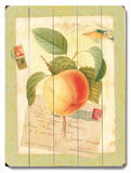 Natural Wonders-Peach Wood Sign