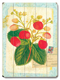 Natural Wonders-Strawberry Wood Sign