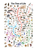 De levensboom Premium giclée print De levensboom Premium giclée print