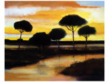 Alberi di Pisa at Sunset reproduction procédé giclée par Judith D'Agostino