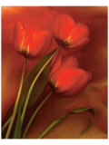 Tulip Fiesta in Red and Yellow II Giclee Print by Richard Sutton