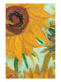 Twelve Sunflowers (detail) Giclée-Premiumdruck von Vincent van Gogh