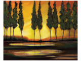 Peaceful California Trees reproduction procédé giclée par Judith D'Agostino