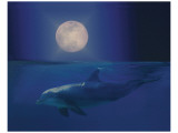 Child of the Moon Lámina giclée por Stephanie Laird
