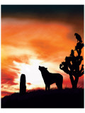Spirit of the West Giclee Print by Stephanie Laird