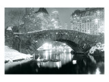 Winter im Central Park Giclée-Premiumdruck