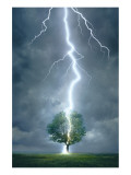 Lightning Striking Tree Giclee Print