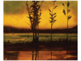 Sunset Glow Giclee Print by Judith D'Agostino