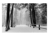 Winter Country Lane, Michigan reproduction procédé giclée