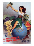 Adani Fruits Lámina giclée