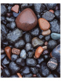 Beaver Bay Rocks I Premium Giclee-trykk av Danny Burk
