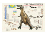 Tiranosaurios Lámina giclée por Libero Patrignani Tiranosaurios Lámina giclée por Libero Patrignani