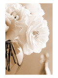 Roses in Sepia reproduction procédé giclée par Christine Zalewski