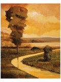 Summer Stream reproduction procédé giclée par Judith D'Agostino