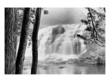 Bond Falls III, Michigan Giclee Print