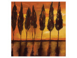 Peaceful Trees at Sunset Giclee Print by Judith D'Agostino