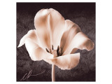 Tulipe reproduction procédé giclée par Christine Zalewski