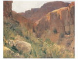 Ain Djiddy Gorge near the Dead Sea Premium Giclee-trykk av Eugen Bracht