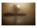 Foggy Island Sepia Giclee Print by Dan Magus