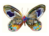 Butterfly Giclee Print by Harold Davis