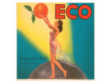 ECO Enrique Giner Vidal Oranges Giclee Print